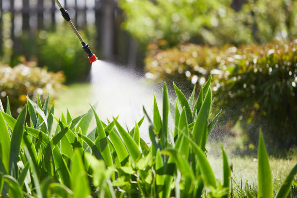 24/7 Emergency Rodent Control experts in Dyersburg, TN