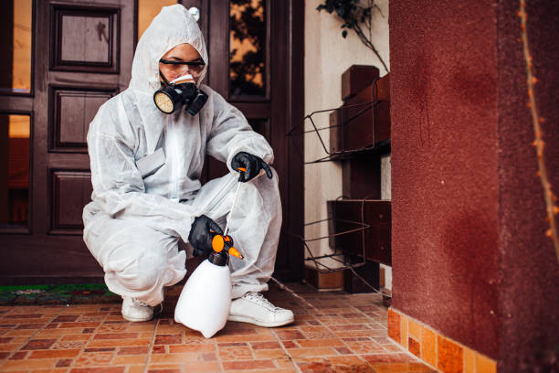 Reliable Rodent Control contractor in Dyersburg, TN by Nex Pest Control