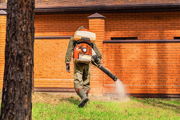 Trusted Rodent Control service in Dyersburg, TN - Nex Pest Control